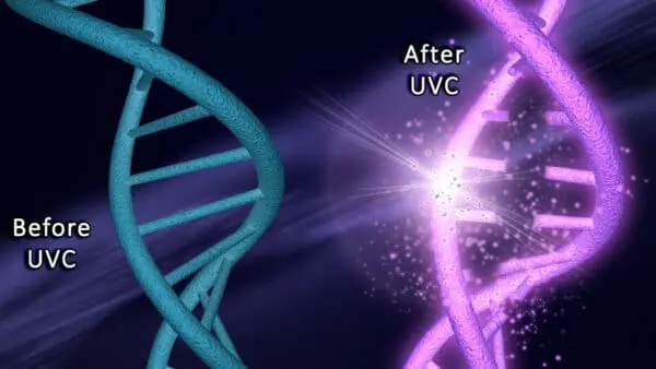 DNA Helix - UVC, Δρ. Βιττωράκης Στυλιανός